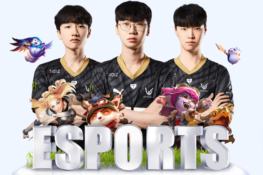 ����˧ì��������Ծ��ֲ����Ų����������׵ܵ���Ҫ�뿪����